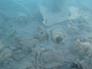 Loutraki Dive Club Isthmia Loutraki Greece 21/1/2017