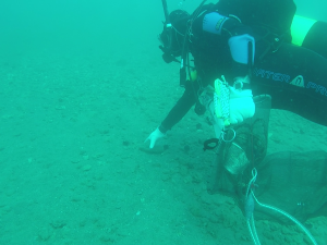 Loutraki Dive Club Isthmia Loutraki Greece 21/1/2017