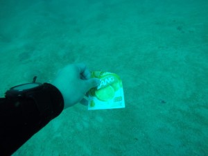 The diver team who volunteered at underwater cleanup