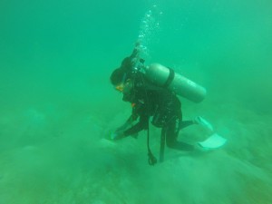 The diver team who volunteered at underwater cleanup