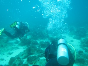 Coral Reef Assessment