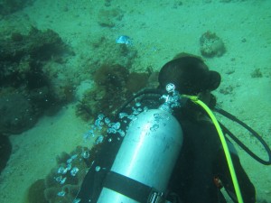 Coral Reef Assessment