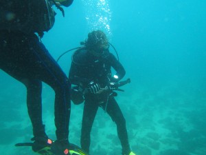 Coral Reef Assessment