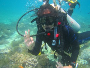 Coral Reef Assessment