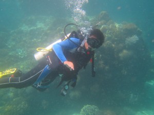 Coral Reef Assessment