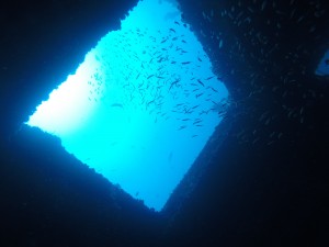 coming through the belly of the ship