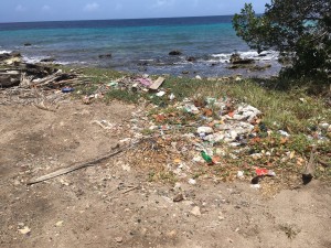 Rubbish on the Beach