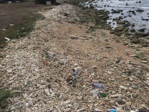 Rubbish on the Beach