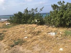 Rubbish on the Beach