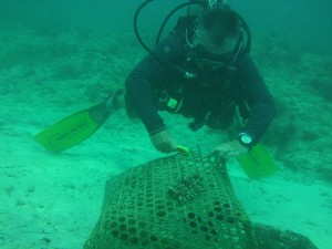 Troy saving fish from the trap