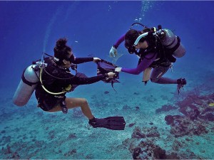 PADI IDC Gili Islands