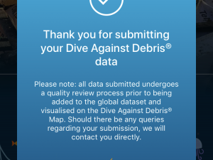 Dive Against Debris 