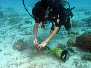 removing marine debris required skills