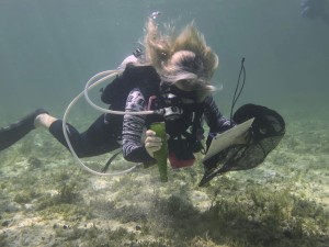 DIVER REMOVING DEBRIS