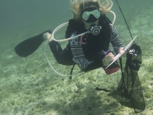 DIVER REMOVING DEBRIS