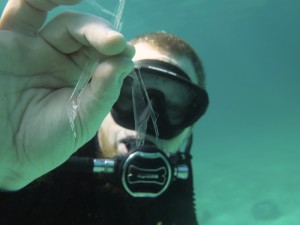 DIVER WITH PLASTIC DEBRIS