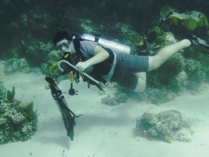 DIVERS REMOVING DEBRIS