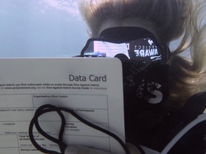 DIVER RECORDING DATA