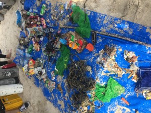 Marine Debris collected