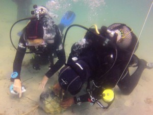 Big Blu Mafia Island Dive Centre Marine Debris Clean-up