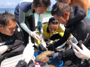 Wet is always good for coral propagation