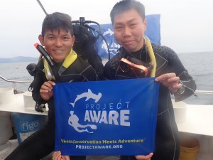 promote project aware