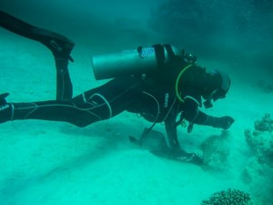 PADI Dive Against Debris Specialty Course