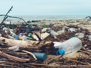 Plastic waste on the beach