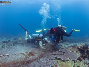 Dive Against Debris Net Removal