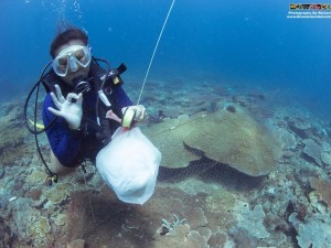 Dive Against Debris Net Removal