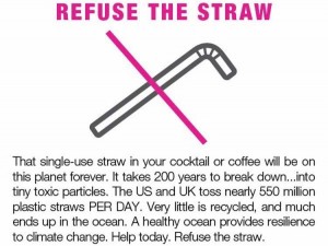 Refuse the straw