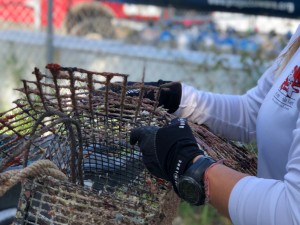 Rainbow Reef Dive Center Project AWARE Ocean Clean Up