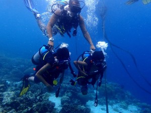 First Breathe Underwater on the House Reef.