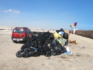 Trash collected, and ready to be taken a way 