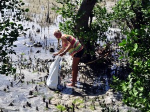 Picking Up Rubbish Stuck in the Mud