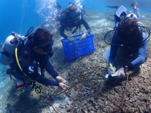 training led by biologist Andrew Taylor