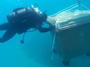 Kokkari Underwater Cleanup