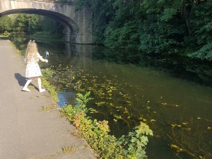 Scuba Leeds Canal Clean up 