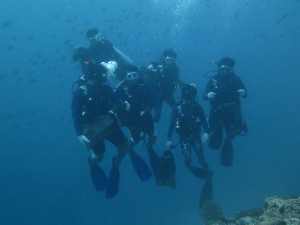 Dive Against Debris Course