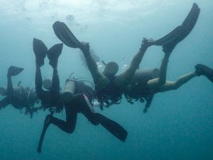 Women who dive