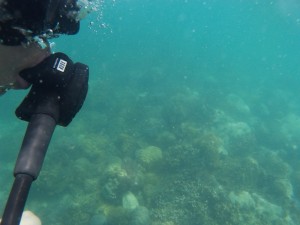 Diving At North Rock