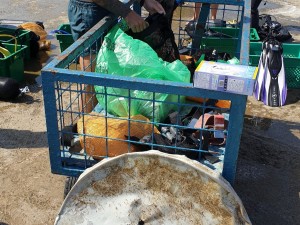 Some trash we removed from the sea