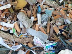 Our beach team helped clean up all this litter!