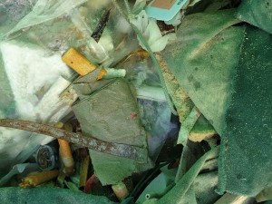 More debris removed from the beach