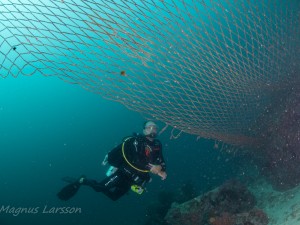 Divers can also be caight on ghost nets