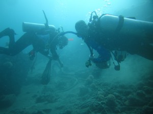 A lot we did and there a lot to do  After a hard day , we try to make what we can   by the hands of PADI divers and snorkeler and worker down of the organization and the supervision of  Said Mohamed PADI IDC Staff Instructor #415694 with : Ahmed Mohamed Rescue Diver 1902UE2077 Ahmed Mohamed Advanced Open Water 1901UT1094 Ehab Elbahey Rescue Diver 1812UC4290 Elise A Philipsen Advanced Open Water 1909UC3587 Mohamed Lotfy Advanced Open Water 1806UW0686  Laura A Philipsen as snorkel   WE LIFTED MORE THAN 220 KG