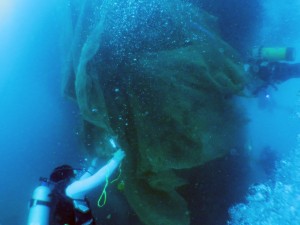 Malaysia Day Dive 2019 Kuching