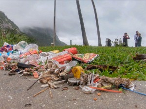 Debris collected at the beach before the dive