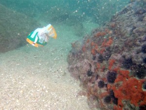 Debris underwater