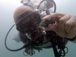 Scuba diver